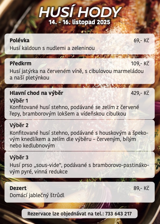 Husí hody
